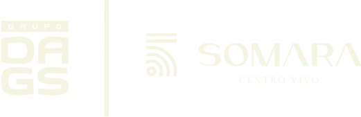 Logotipo de Grupo DAGS + Somara